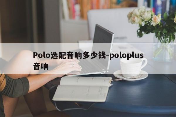 Polo选配音响多少钱-poloplus音响