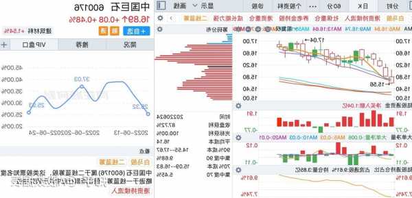 九紫新能股价拉升13.18% 市值涨2.06万美元